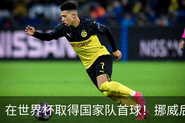 在世界杯取得国家队首球！挪威后卫彼得森：这种高兴无以言表