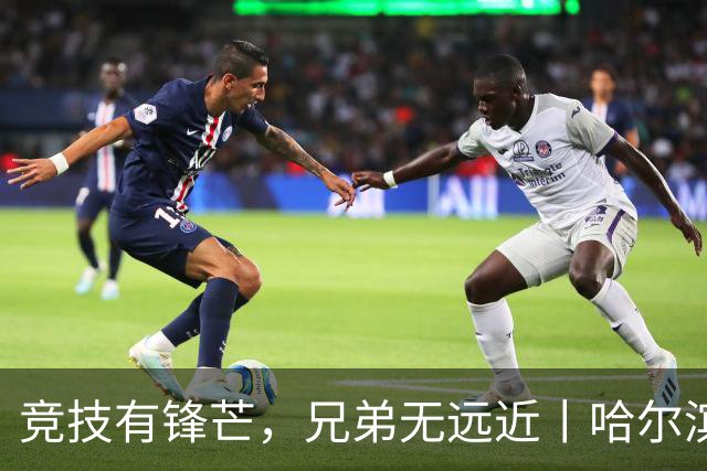 竞技有锋芒，兄弟无远近丨哈尔滨-长春双向奔赴，共续华章